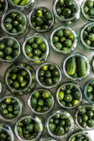 Top view of jars of prepared cucumbers ready to picklingの写真素材