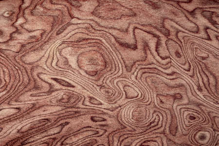 Natural exotic wood background patternの写真素材