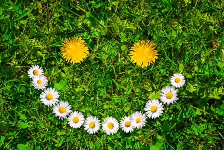 Smiley face of yellow dandelions and white daisies on green grass at summer day.の写真素材