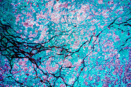 Grungy converted with colors concrete frozen pavement texture background with roots of plants.の写真素材