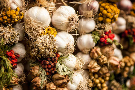 Fresh organic garlic braids at the local market. Shallow depth of field. SDF.の写真素材