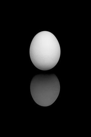Organic simple egg in black and white with reflection.の写真素材