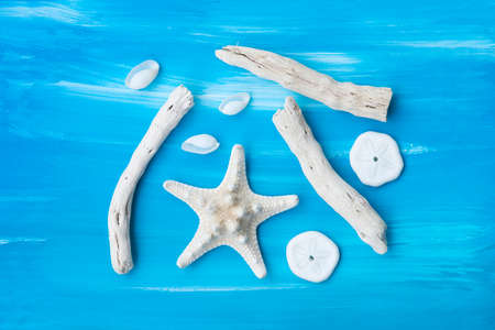 Shells, starfish and twigs polished by the sea on painted blue background.