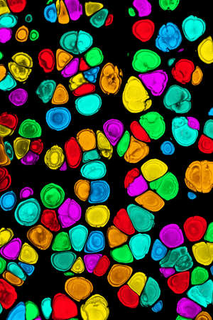 Colorful abstract acrylic painting cells. Free flowing cells. Pouring.