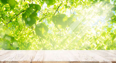 Old white vintage planked wood table in perspective on bright green bokeh summer background with...