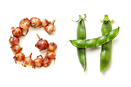 Vegetable Letters "G" and "H" Made of Onions and Bean Isolated on White Backgroundの素材