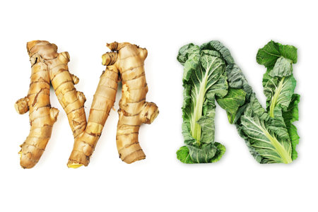 Vegetable Letters "M" and "N" Made of Ginger and Cabbage Isolated on White Backgroundの素材