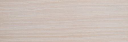 Natural Maple Tree Wood Panel Texture Panorama Patternの写真素材