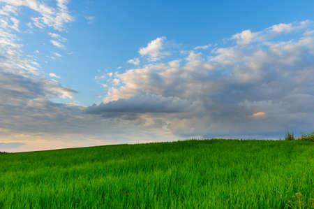 Landscape of meadow with beautiful sky