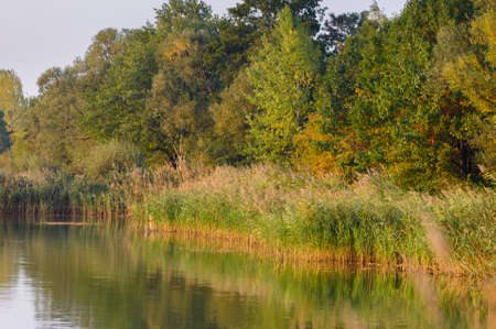 Scenery of lake shoreの写真素材