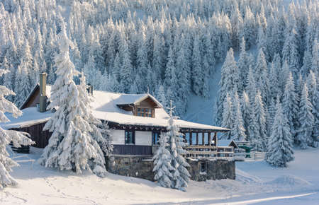 Winter landscape in polish mountainsのeditorial素材