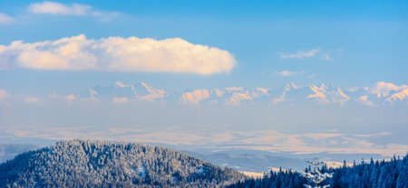 Winter landscape of mountains in Polandの写真素材