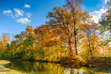 Golden autumn at lake in Polandの写真素材