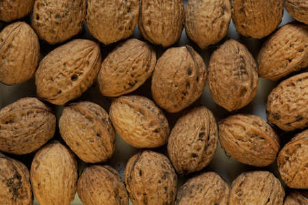 Harvest maturity walnuts lying together in a bowl.