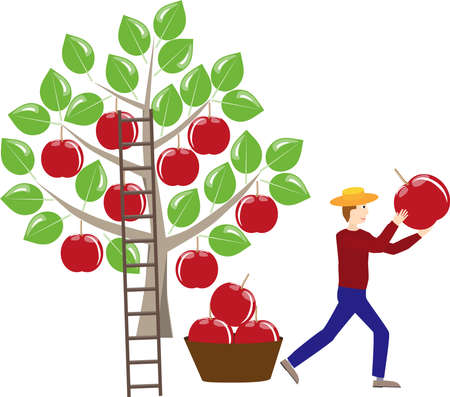 Males reap apples and wearing a thrilled. Apple tree with big red apples, some harvested. Symbolic design on white.のイラスト素材