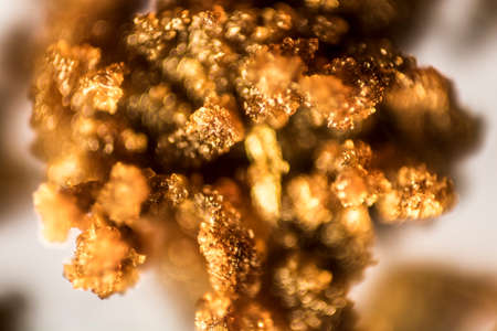 Microscopic image of used coffee set.の写真素材