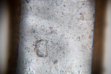 A single white sugar crystalの写真素材