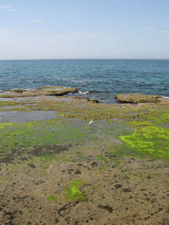 Beauty sea 