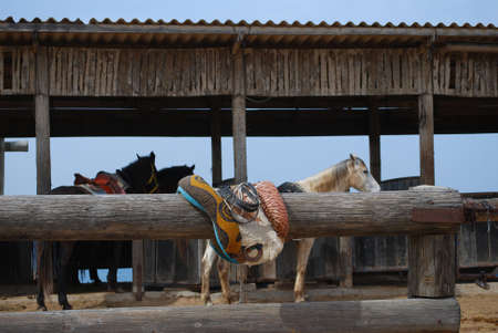 old leather saddle for horse on ranchの写真素材