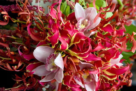 red rose flowers table decorationの写真素材