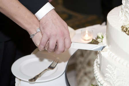 wedding cake and bride and groom with the knifeの写真素材