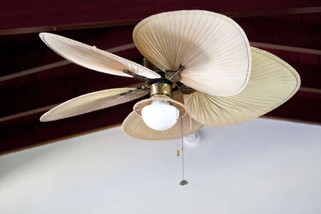 indoor tropical electric ceiling fan の写真素材