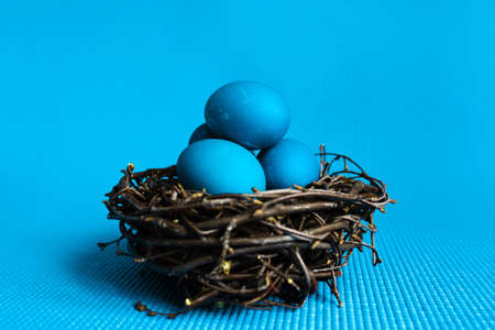 Easter egg in the nest on blue background