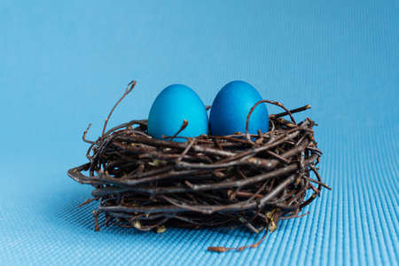 Easter egg in the nest on blue backgroundの写真素材