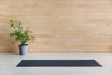 Gym with yoga mat on the floorの写真素材