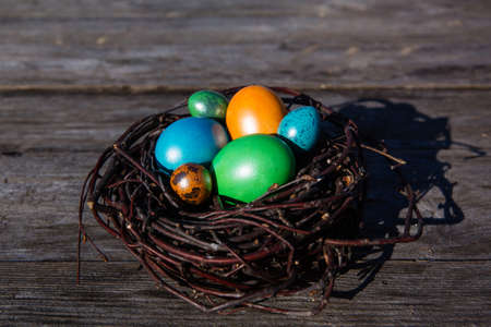 Colorful Easter eggs in the nest on wooden background