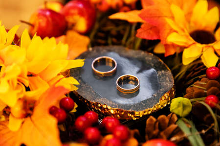 A pair of gold rings for wedding ceremonyの写真素材