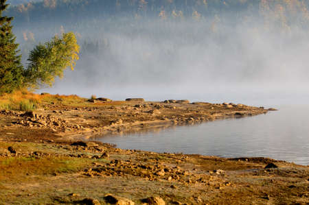 Mountain Lake in Deep European Forestの写真素材