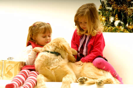 Two Little Girls and Retriever Dog by Decorated Christmas Treeの写真素材