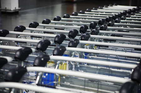 long rows of airport luggage trolleys ,