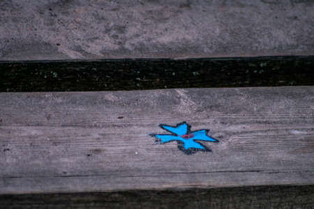 Blue clover