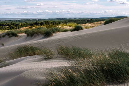 Lithuania, Parnidis Duneの写真素材