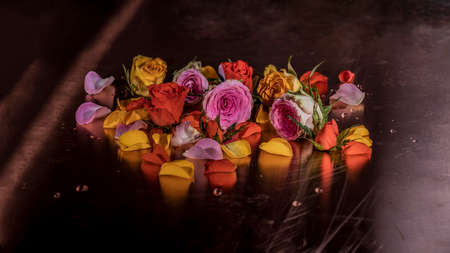 Multicolor flower decorationの写真素材