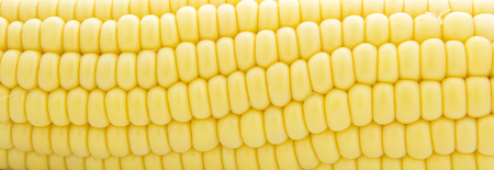 corn, full frameの写真素材