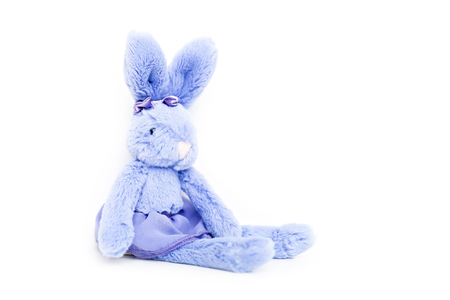 cute toy bunny isolated on white backgroundの写真素材