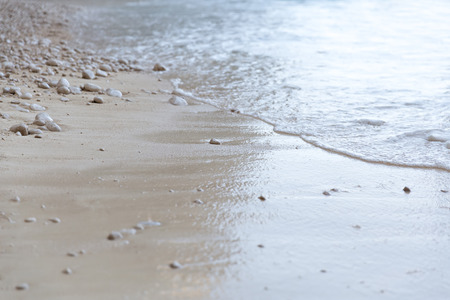 wave on the sandy beach, copy space