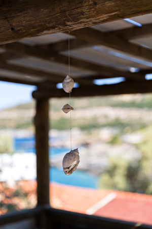 shells on string over the view od the seaの写真素材