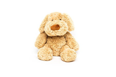 cute puppy dog isolated on white backgroundの写真素材