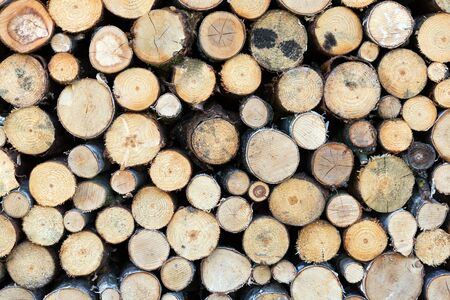 Closeup of cut firewood, natural wood backgroundの写真素材