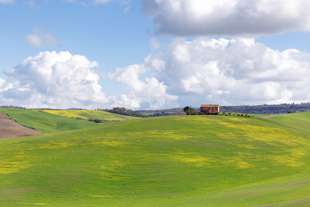 Hills of Tuscany in early springの写真素材