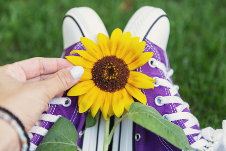 Female legs in purple shoes with yellow sunflowerの写真素材