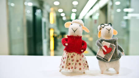 toy sheep couple doll, Office backgroundの写真素材
