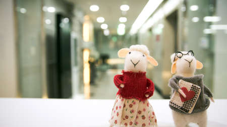 toy sheep couple doll in front of the office entrance.の写真素材
