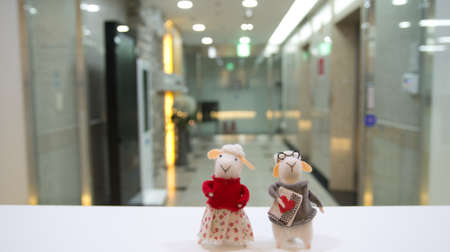 toy sheep couple doll in front of the office entrance.の写真素材