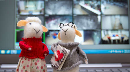 A sheep model wearing clothes looking at a computer in front of a computer.の写真素材