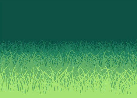 Green grass on white backgroundのイラスト素材